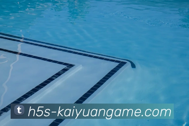 多媒体互动体验